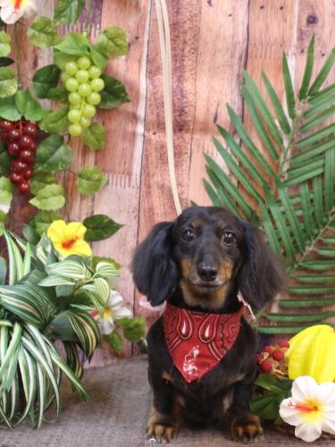 20230830ハルちゃん